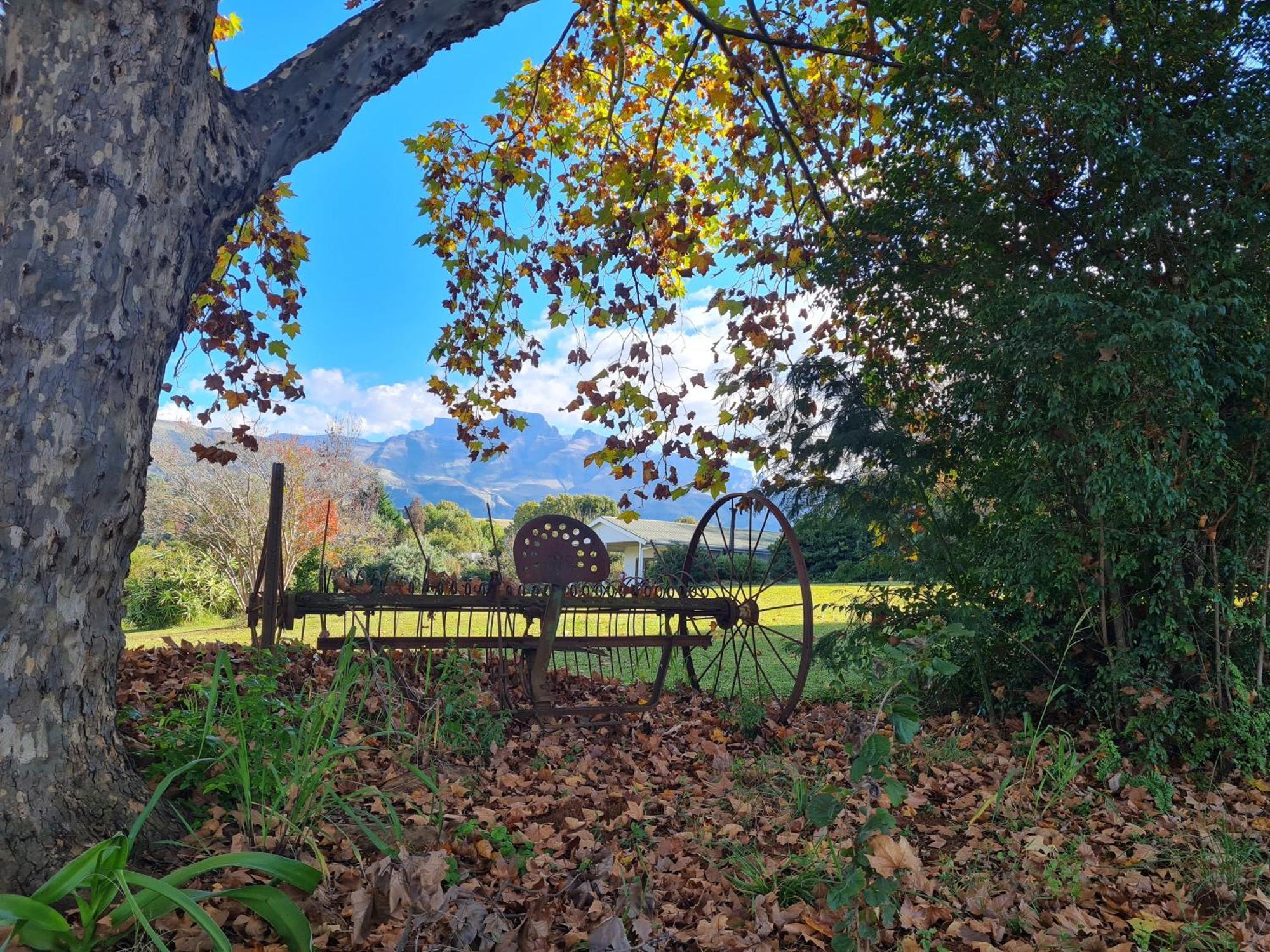Swallowfield Rondavels Champagne Valley Exterior foto